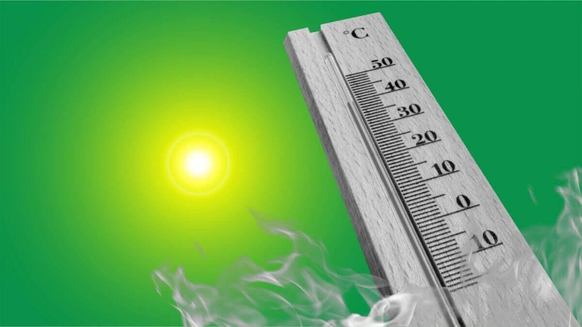 Шымкент накроет волна зноя: столбики термометров поднимутся до +42 °C
