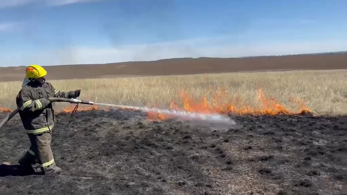 Из-за лесостепного пожара едва не загорелся поселок в ВКО