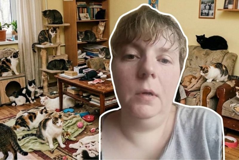 «Вернулась домой — повсюду кровь»: жительница Конаева обвинила полицию в гибели 19 кошек