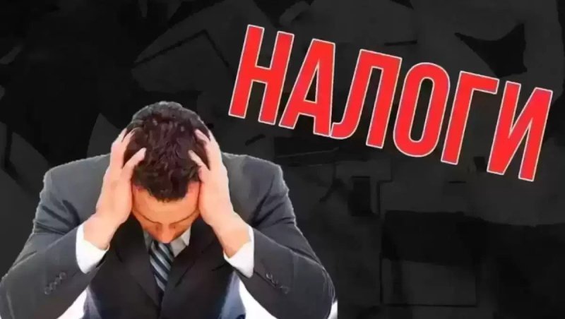 Налоговики по ошибке выставили бизнесмену из Шымкента счёт на полмиллиарда тенге