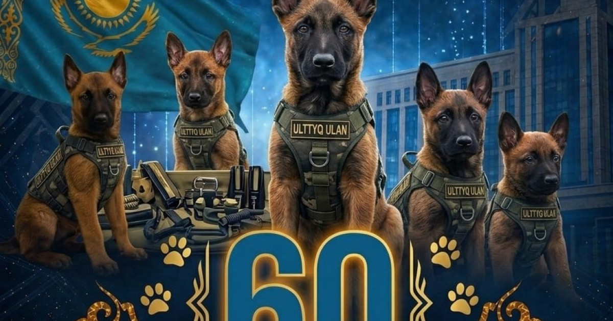  Ұлттық ұланның кинология орталығында соңғы екі жылда 60 күшік өсірілді 