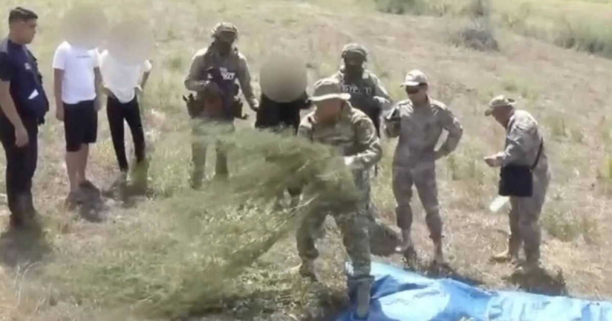  Жамбыл облысында 24 келіден астам марихуананы сатпақ болған ер адам ұсталды 