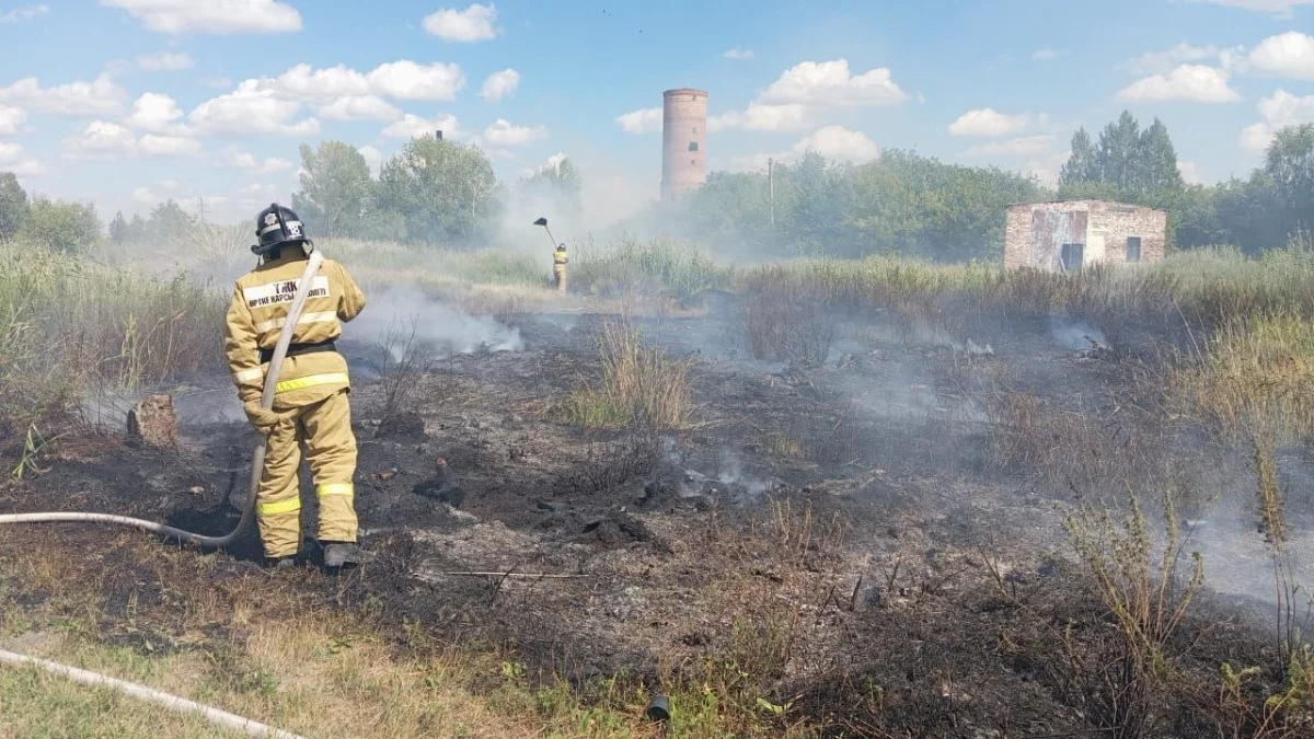 Ақмола облысында 195 гектар алқапты шарпыған ірі өрт сөндірілді