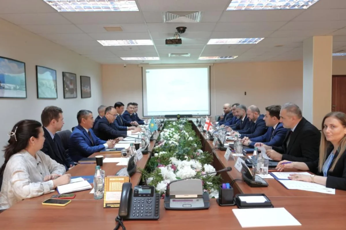 Қазақстан мен Грузия e-Permit жүйесі арқылы электронды рұқсат алмасуды іске қосады