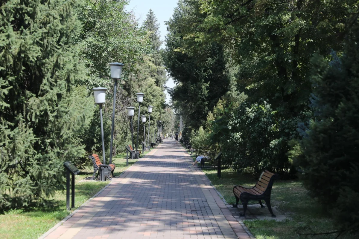 Алматыда Жамбыл және Төле би көшелерінде 14 шақырымнан астам автоматты суару желісі тартылды