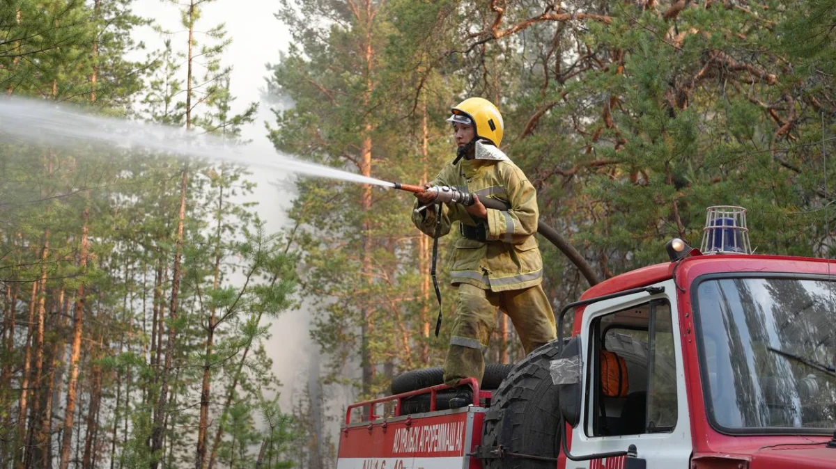 Бір тәулікте тіркелген 55 орман өрті: барлық өрт ошақтары бақылауға алынды