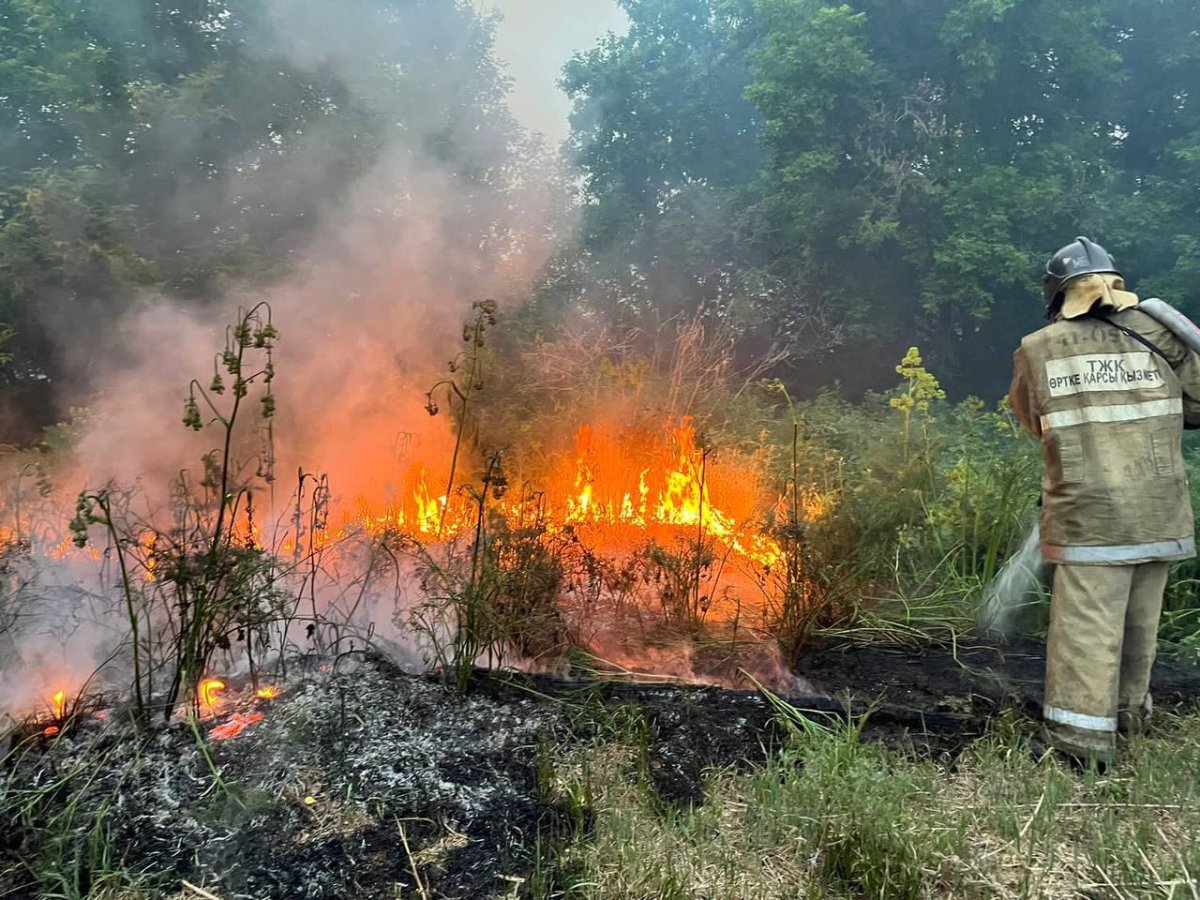 Елімізде бір тәулік ішінде 55 орман өрті тіркелді