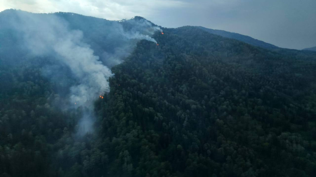 Қазақстанда бір тәулікте 19 орман өрті сөндірілді