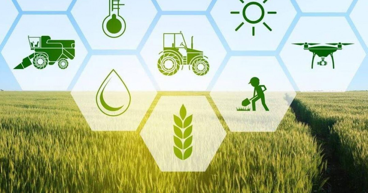   Фермерлерге қосымша мүмкіндік: егісті сақтандыруға өтінім қабылдау 31 шілдеге дейін ұзартылды   