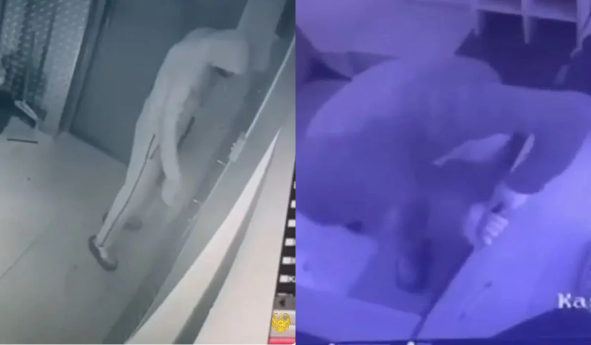 Видео кражи 2,5 млн тенге из кассы магазина в Атырау появилось в сети