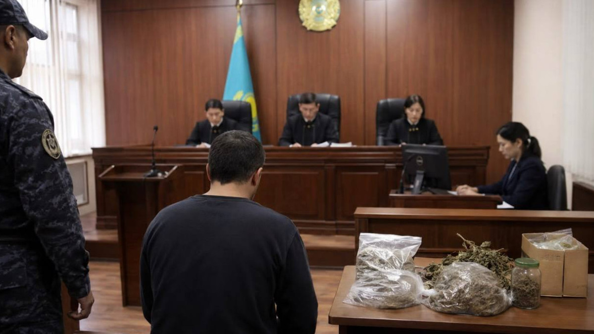 Собрал коноплю у границы: жителя Алматинской области отправили в колонию