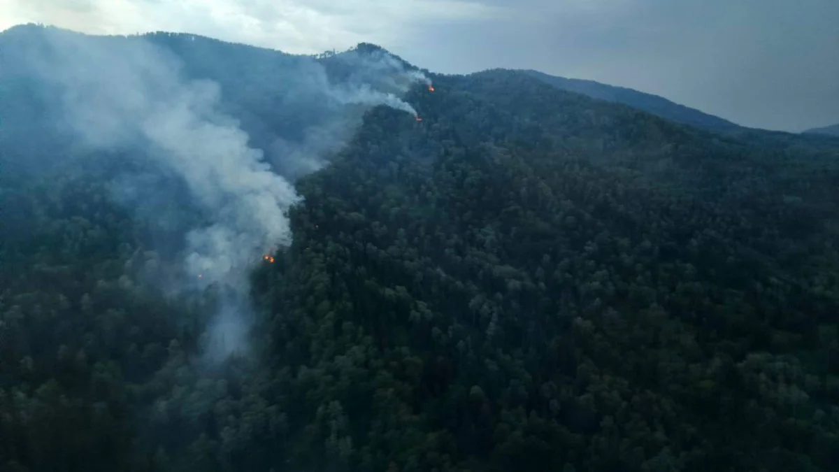 Қазақстанда бір тәулікте 19 орман өрті сөндірілді