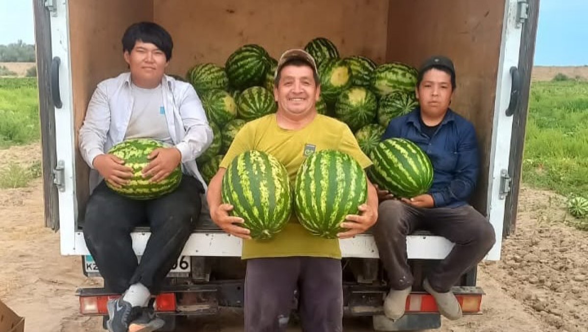 Арбузы, которых ждут атыраусцы