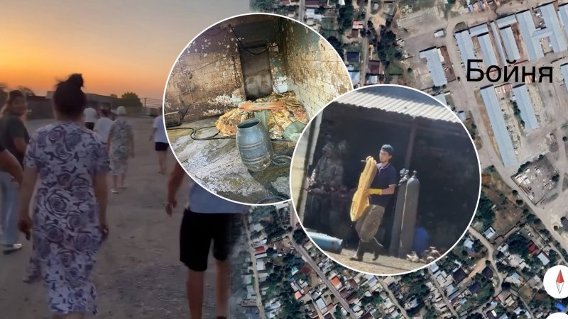 «Фильм ужасов» под окнами: жители под Алматы поймали грузовик с кишками животных и требуют закрыть бойню