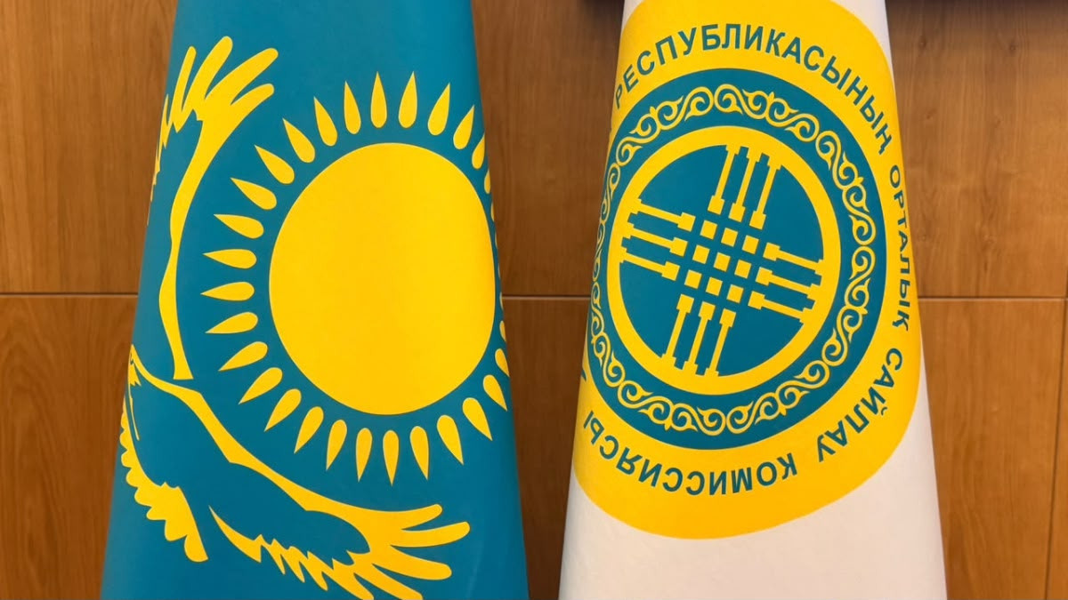 Құрылтай сайлауын бақылайтын халықаралық байқаушылар саны 96-ға жетті