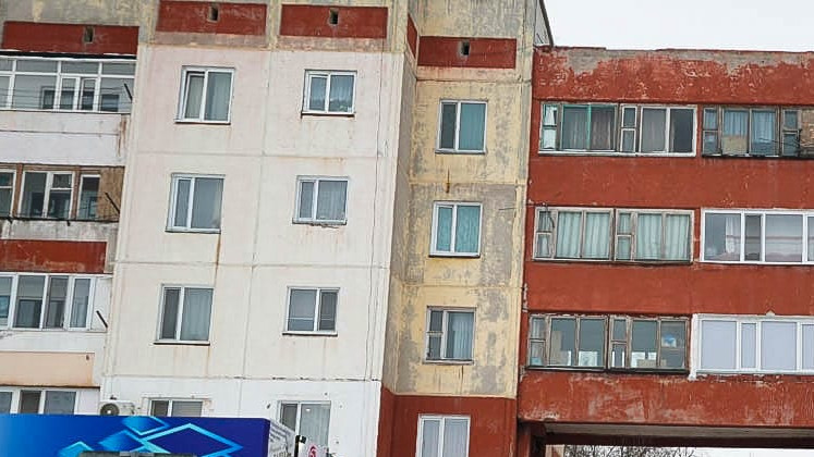 Кошки, запах и конфликт: ситуацию в многоквартирном доме выясняют в Алматы