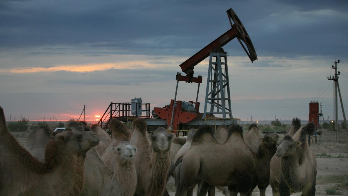 КТК остановил отгрузку нефти: Казахстан экстренно сократил добычу