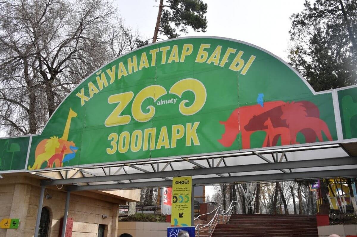 Впервые в истории: в Алматинском зоопарке очередное пополнение (ВИДЕО)