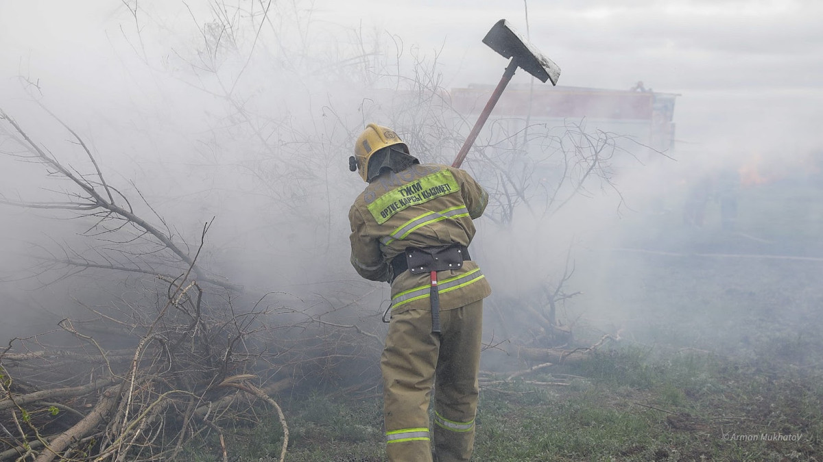 Елімізде бір тәулікте төрт орман өрті тіркелді