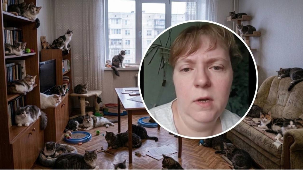 «Отлов» за закрытой дверью: как трагедия в Конаеве показала изнанку новых правил для животных
