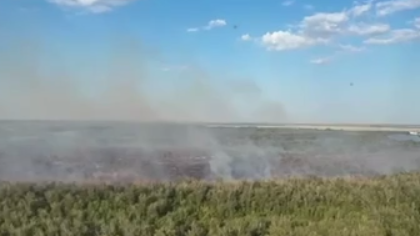 Елімізде бір тәулікте орман қорында екі өрт тіркелді