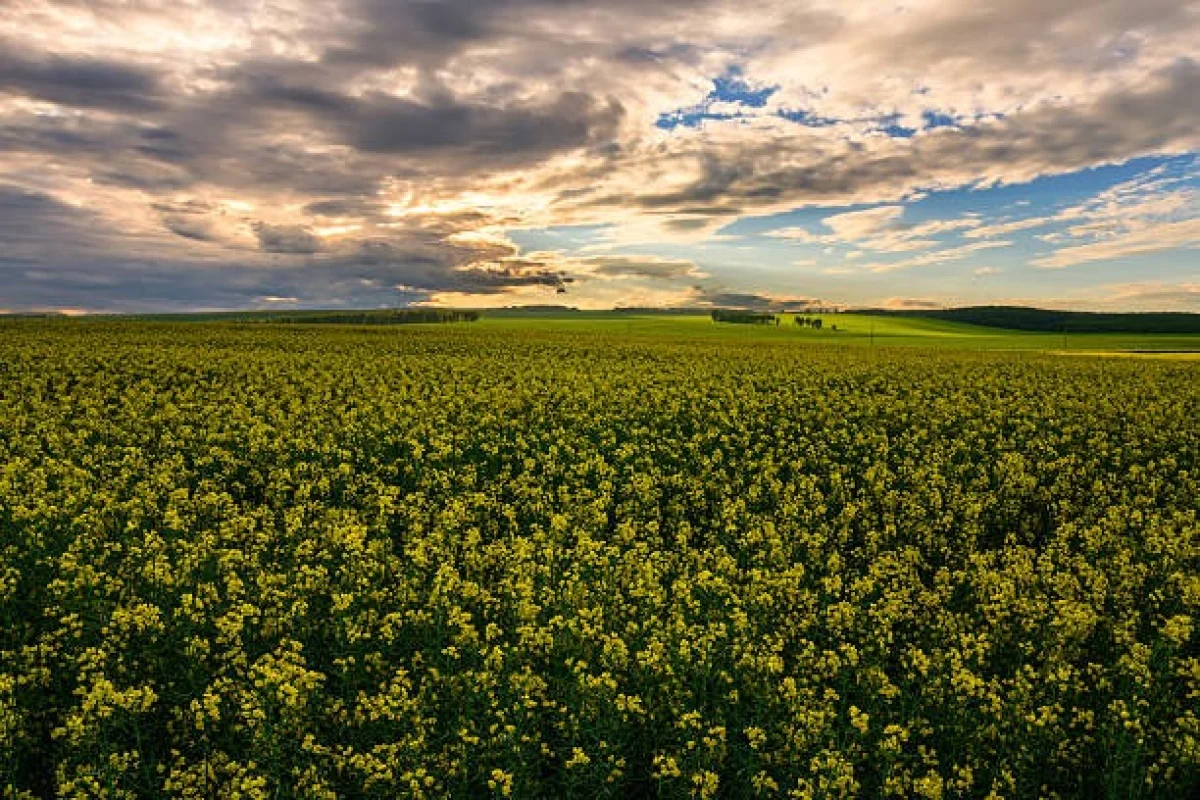 28 шілдеде Қазақстанның барлық өңірінде дауылды ескерту жарияланды