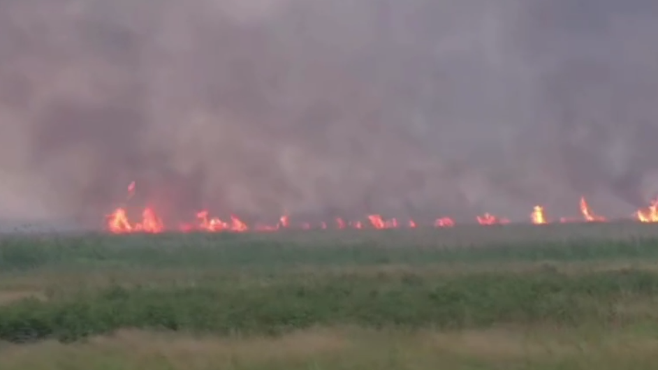 Семей орманында 12 күнге созылған өрт толық сөндірілді
