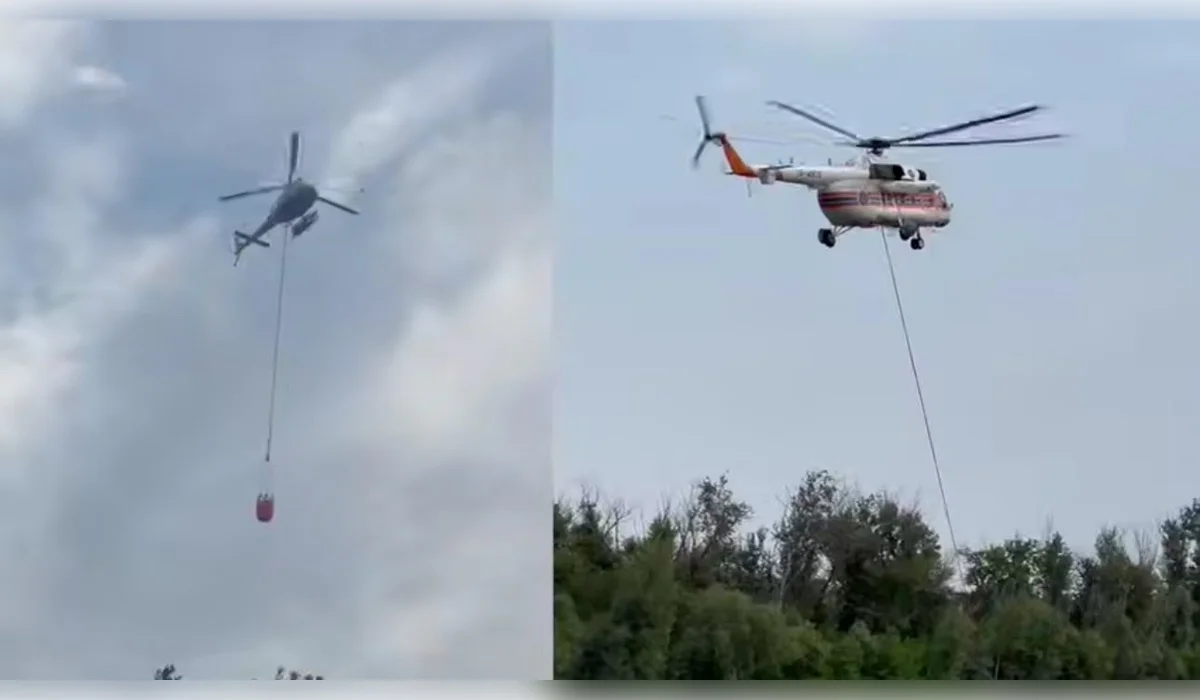 Природный пожар потушили в Ханской роще в ЗКО