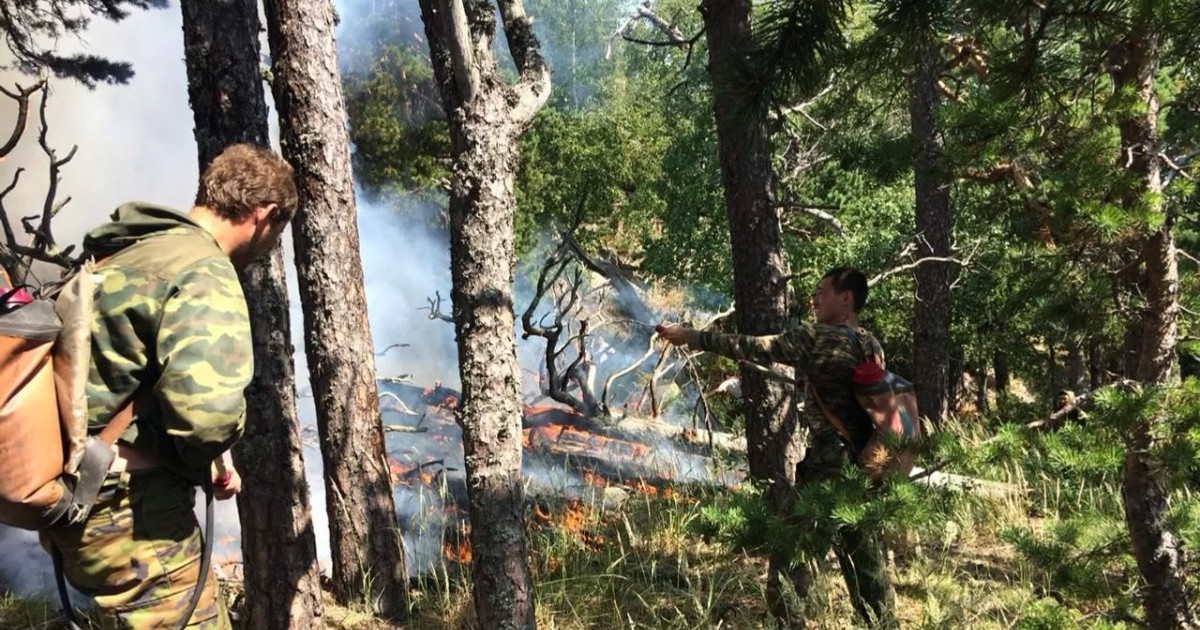  Семей орманында 12 күн бұрын басталған өрт сөндірілді 