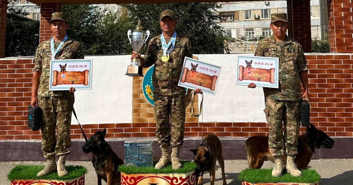  Ұлттық ұланның кинологтары Ақтауда өткен жарыста бақ сынады 