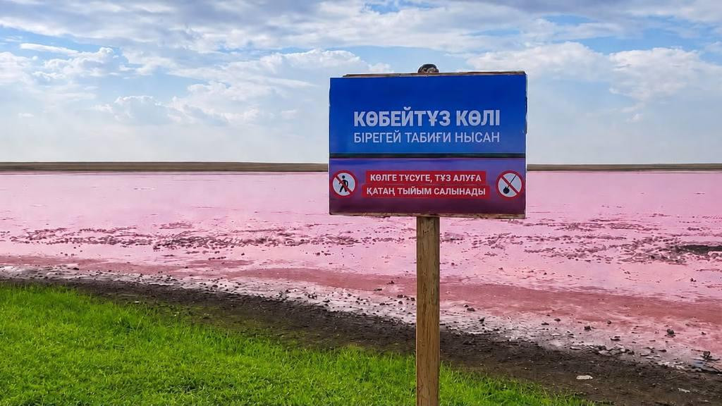 Смотровые площадки вместо стихийного туризма – уникальное озеро Көбейтұз взяли под охрану
