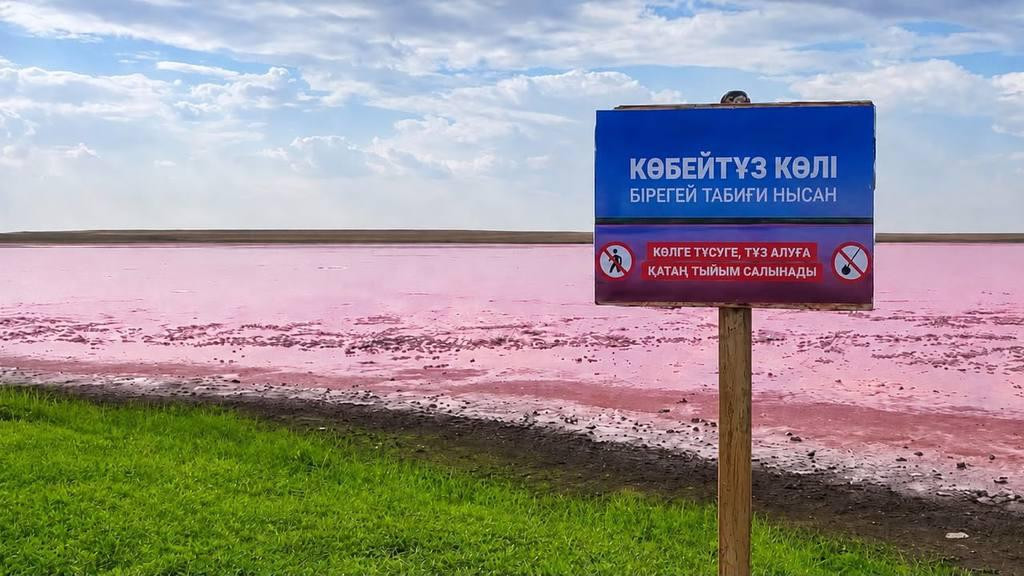 Круглосуточное патрулирование и полный запрет на купание – на озере Көбейтұз действуют природоохранные ограничения