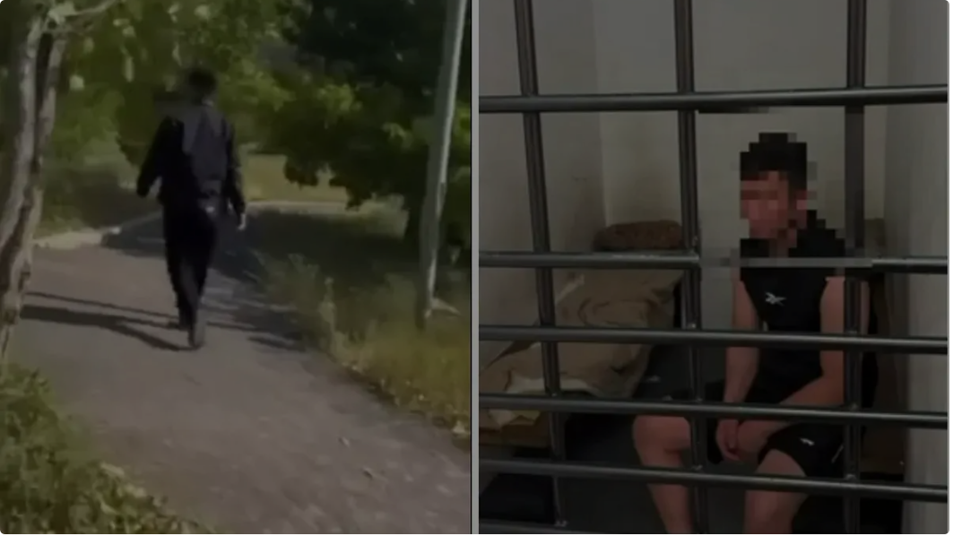 Елордадағы саябақта қызға шабуыл: күдікті полиция қолына түсті