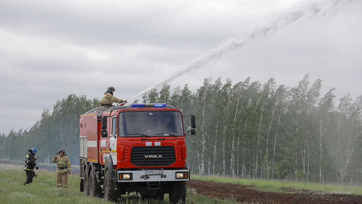 Қазақстанда бір тәулікте орман қорында 6 өрт тіркелді