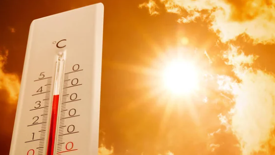 +44°C дейін ыстық: Синоптиктер ескерту жасады