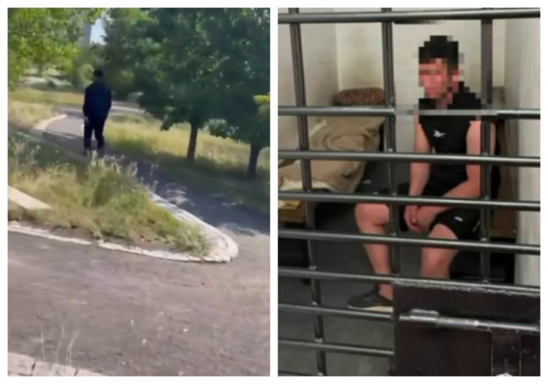 «Пытался изнасиловать»: на астанчанку напали в парке средь бела дня