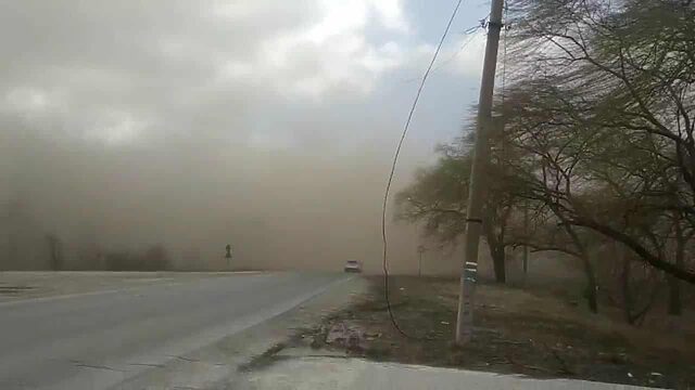 +44°C ыстық, дауыл мен бұршақ: ТЖМ ескерту жасады