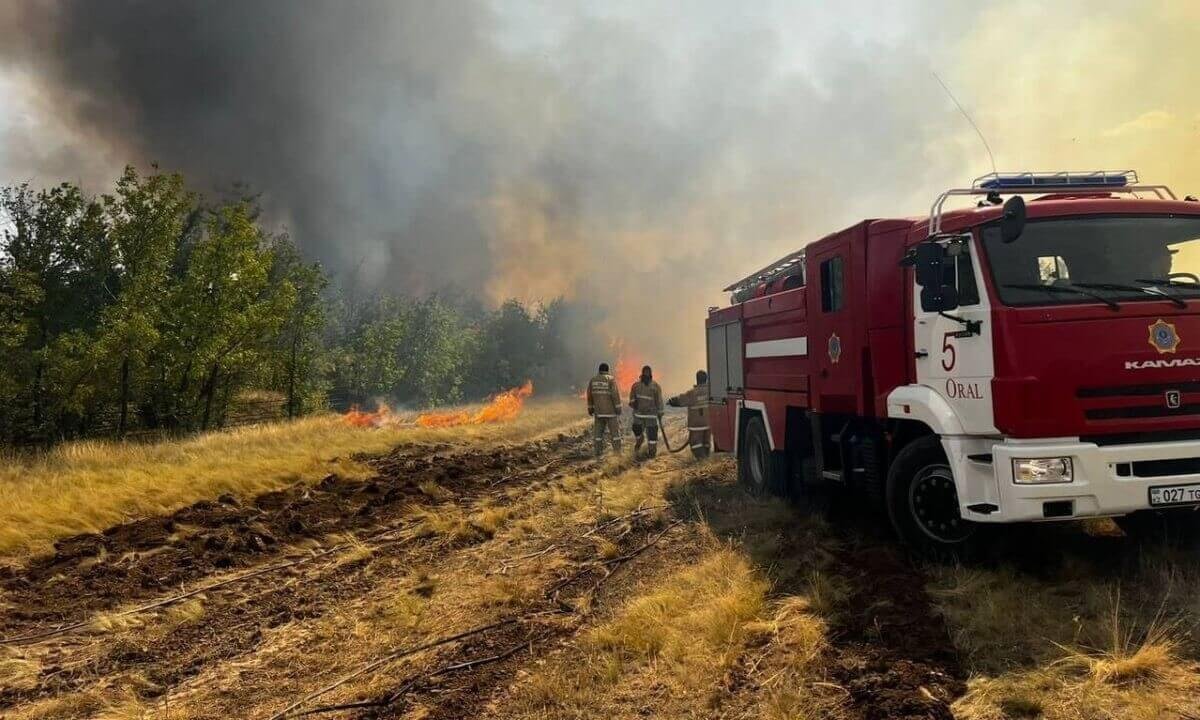 Четыре лесных пожара зафиксировано в Казахстане за 29 июля