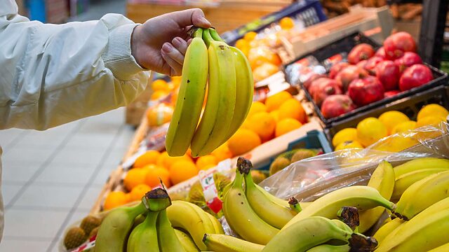 Алматыда демалыс күндері ет пен көкөніс жәрмеңкесі өтеді