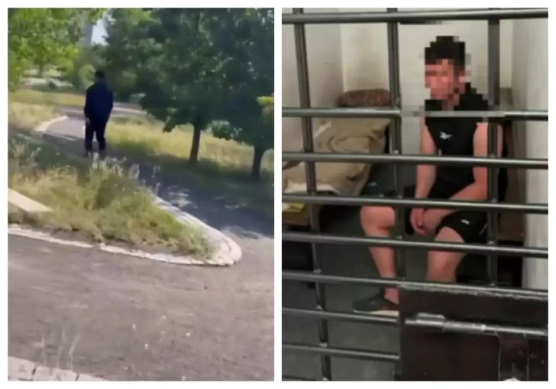 «За мат в тик-токе наказывают строже»: мужчине, лапавшему девушку в парке, дали всего десять суток