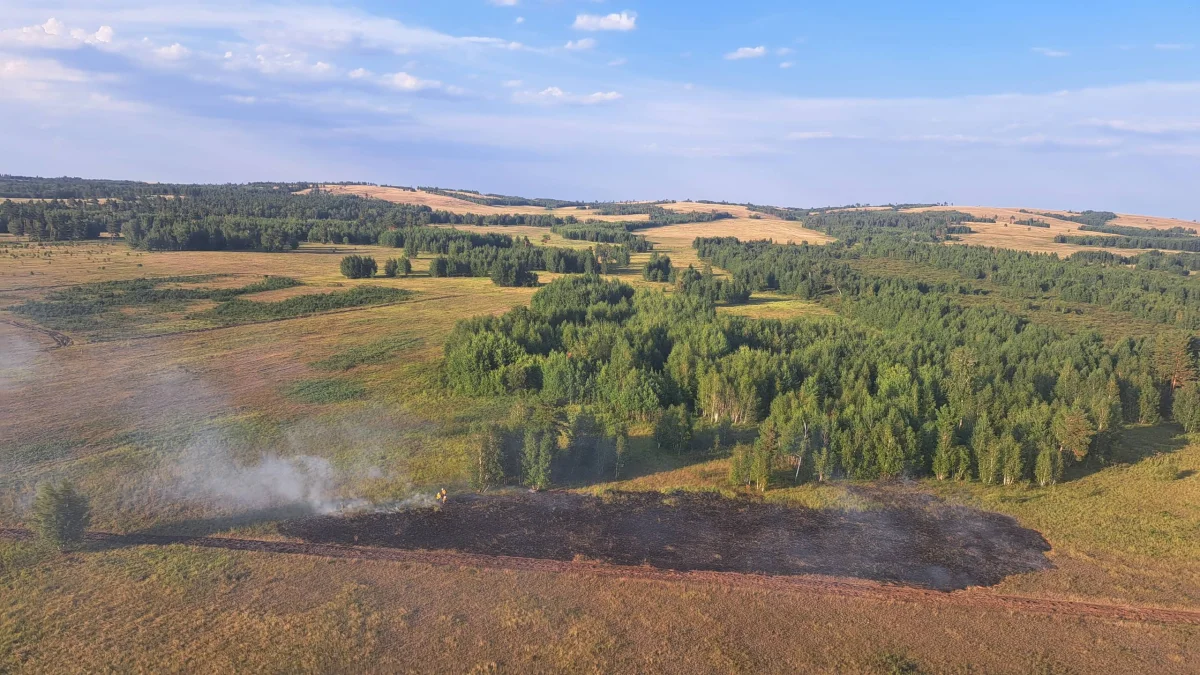 Лесные пожары вспыхнули сразу в нескольких регионах Казахстана