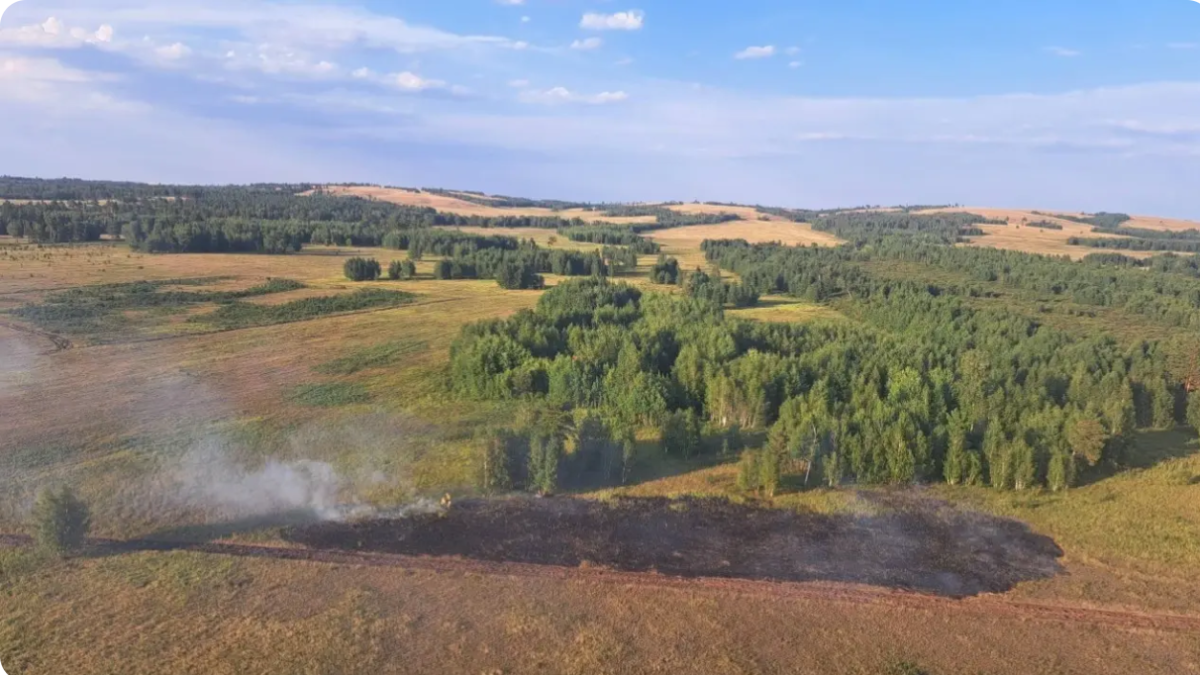 Қазақстанда бір тәулікте жеті орман өрті толық сөндірілді