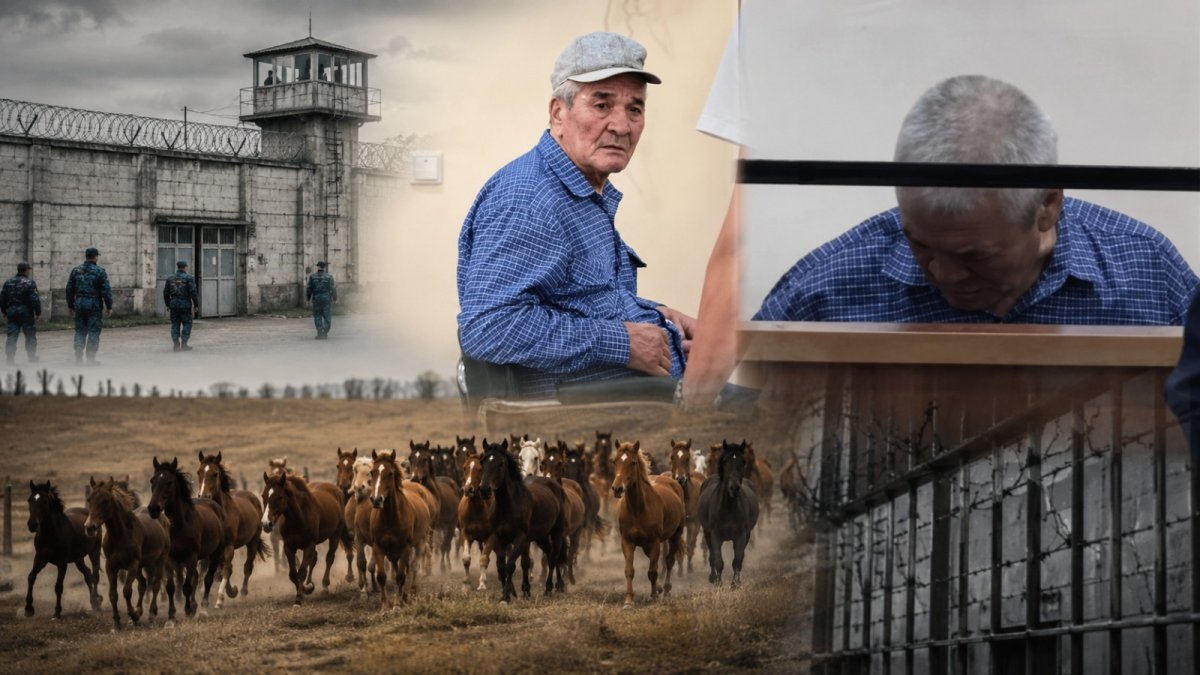 33 жыл еңбек еткен малшыны «100 жылқы жымқырды» деп соттаған: ер адам сот залынан босатылды