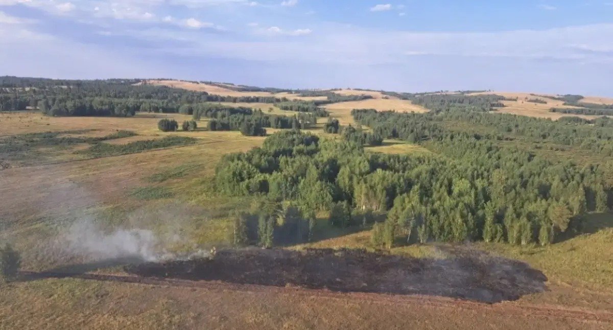 Қазақстанда бір күнде жеті орман өрті тіркелді