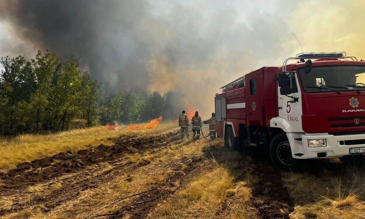Огонь вспыхнул в национальном парке "Баянаул": идет масштабное тушение