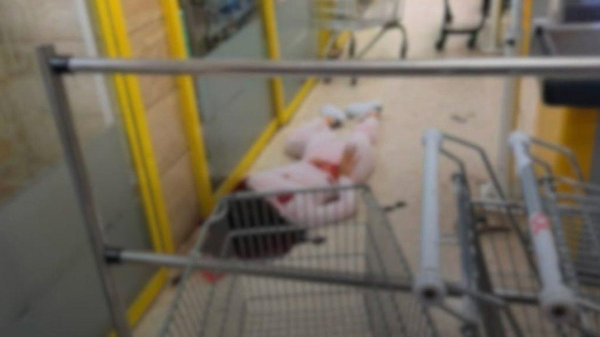 Кипрде пышақталған қыз Қазақстан азаматы емес болып шықты