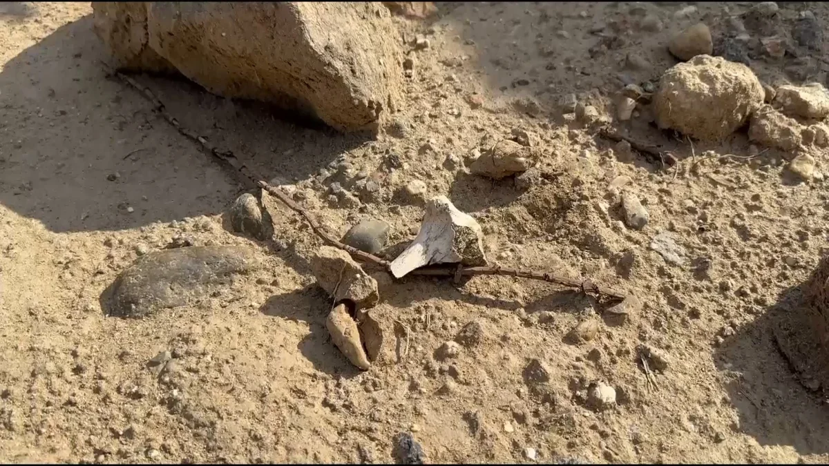 Семейдегі құрылыс алаңында адам сүйектері шашылып жатыр (ВИДЕО)