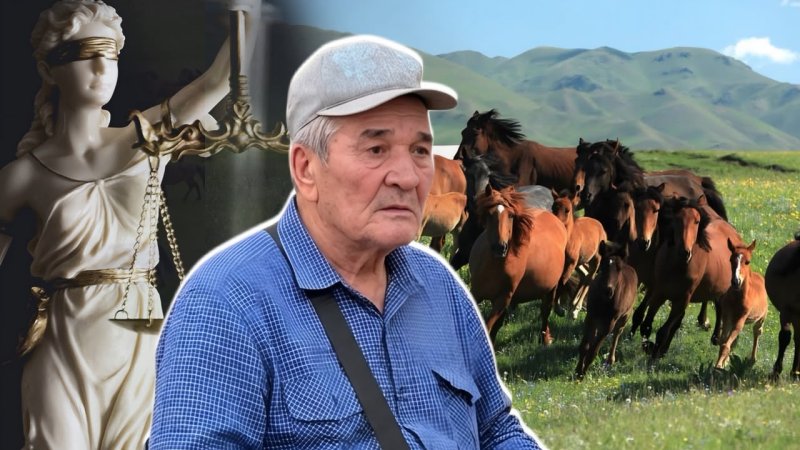 А была ли кража? Как табунщика посадили за 100 лошадей, а потом выпустили на свободу