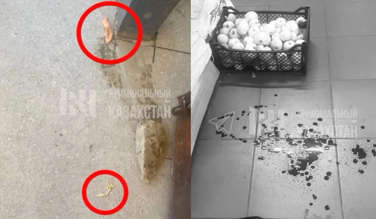 ШҚО-да ер адам экс-әйеліне пышақпен шабуыл жасап, құлағының жартысын кесіп алған (ВИДЕО)