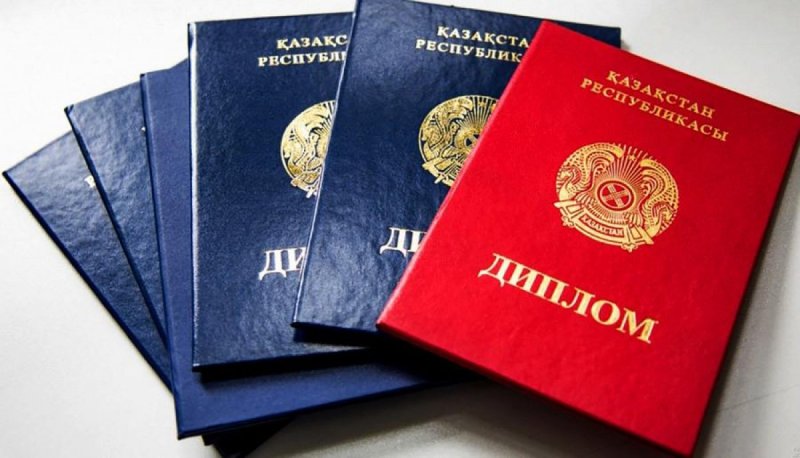 46 поддельных дипломов и десятки сайтов: в Миннауки сделали важное заявление